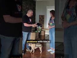 How to improve your dog's Social Skills