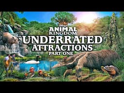 Zoo Tours: Disney World's Underrated Animal Attractions | PART ONE