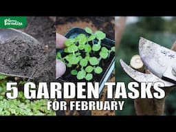 5 Gardening Jobs for FEBRUARY (+ tips!)