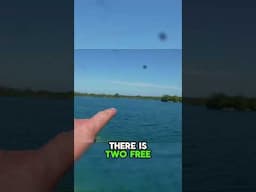 Are you a person to move Swim when Carp Fishing?