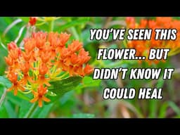 Why Doctors in the 1800s Relied on This Plant Again and Again