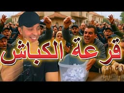 بداية قرعة الكباش المستوردة