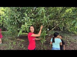 Increíble vean cuantos nances encuentra Veronica😱en esta bonita finca!!!