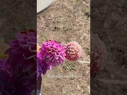 Our favourite parts about the Garden