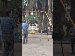 Dog Enjoys Playground Swing