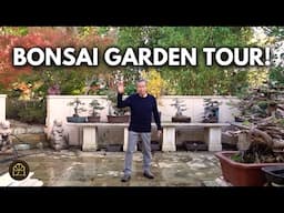 Bonsai Garden Tour! | Spring 2025 Updates