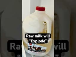 Raw milk can cause the container to explode if left alone for too long. #rawmilk #milk #bacteria
