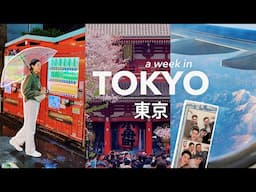 our first spring in tokyo 🇯🇵🌸 sakura & amazing food in asakusa 🍢 20 YEARS my bro has waited for this
