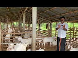 ஆடு வளர்ப்பில் தற்போதைய எதார்த்தமான பேச்சு । Uzhavan goat farm