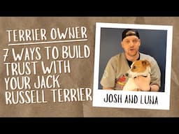 7 Ways to Build Trust with Your Jack Russell Terrier (Why It's Important)