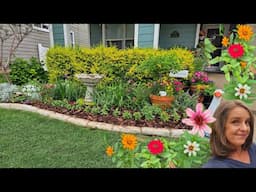 Garden Border Refresh With Summer Annuals!! #northtexasgarden