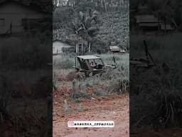 Gaiola tração traseira #trilha #offroad #gaiola