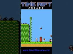 This Mario Game Is a Total Fraud! #8bitguy