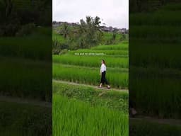 No Tourists Here?! Bali’s Secret Rice Terrace Moment