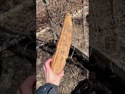 Luffa Gourd Hack