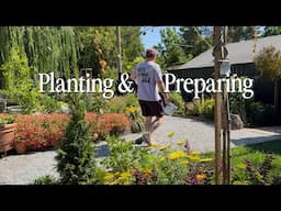 Salvia, Mangave & Moving The Stone…Again || Visit Our Garden