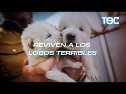 LOBOS TERRIBLES DE VUELTOS A LA VIDA