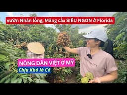 Quá đã các Vườn Trái Cây Nhiệt Đới của chị Nông Dân Việt  ở Florida