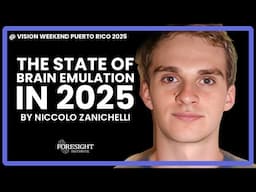Niccolo Zanichelli | The State of Brain Emulation in 2025 @ Vision Weekend 2025, Puerto Rico