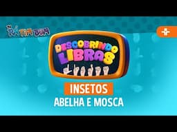 DESCOBRINDO LIBRAS  | INSETOS  - ABELHA E MOSCA