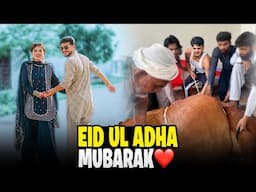 Bablu Qurban Kar Diya 🥺 || Eid Mubarak Zulqarnain Army
