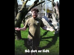 🐒 Nyt chimpansemedlem i flokken!