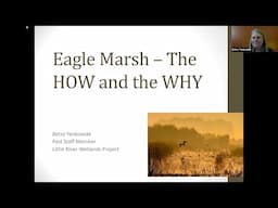 Eagle Marsh Restoration--The HOW and the WHY