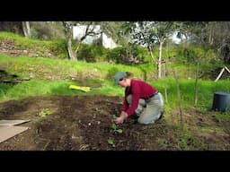 Living a Slow and Simple Life on our Portuguese Homestead, powered by #bluetti