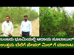 ಬಂಜರು ಭೂಮಿಯಲ್ಲಿ ಆದಾಯ ಸೂಬಾಬುಲ್ ಕೃಷಿ | subabul tree farming in kannada | best fodder tree subabul