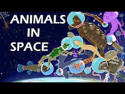 These 5 SURPRISING Animals Went To Space