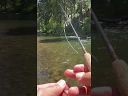 2 dumb ways to die while fly fishing