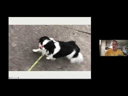 Preparing your dogs for visits #2   Reading stress signals