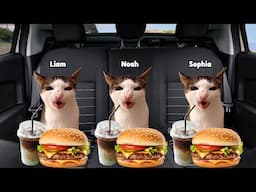 CAT MEMES FAMILY ROAD TRIP TO THE AIRPORT