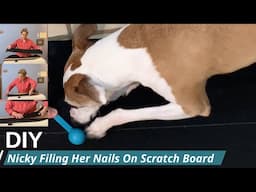 How to Make a DIY Dog Scratchboard and Watch My Pup File Her Own Nails!
