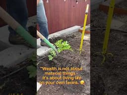 Planting & growing wealth! #debtfree #financiallyfree