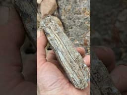 A little Artisanal Quartz Sampling.