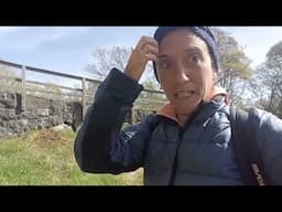 Regine all'opera, preparano le riserve per i foturi bombi #Sweden #bees - Dr. Daniela Scaccabarozzi