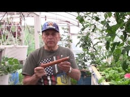 DIY wire weeder