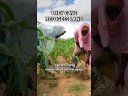 Chad’s Bold Solution for Refugees