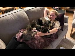 The Sweetest Thing: Cats Snuggling Up To Their Favorite Humans