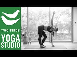 60 Minute Vinyasa Yoga - Twist and Flow