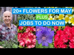 20+ PLANTS & FLOWERS AT THEIR BEST; SLUG & SNAIL CONTROL; CLEMATIS; LILY BEETLE; PATIO POTS & MORE
