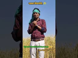 बिजनोरी सनी देओल गेहूं कटाई में परेशान #comedy #funny #trending #funnycomedy #iamsureshsaini