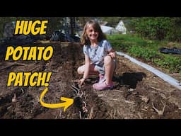 Planting a Year’s Worth of Potatoes in a Small Backyard