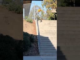 Kristion Jordan Boardslide El Torro 😳 #NkaVids #skateboarding #skate #skater