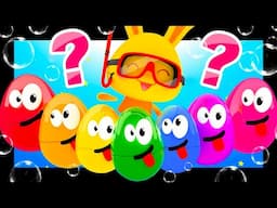 🐠🐬🐳¿How fun! Discover the surprise eggs of Titounis | What sea animal is hidden in each egg?