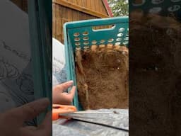 Cheap DIY nesting box pads for chickens #slowliving #chicken