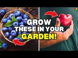 10 Superfoods From The Garden For A Better You | Healthy Plants to Grow at Home