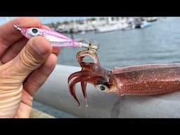 Squid Fishing a Rhode Island Bridge - Calamari/Tautog/Clam Catch and Cook!!