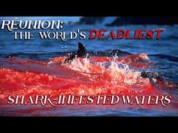 Réunion: The World's DEADLIEST Shark Infested Waters